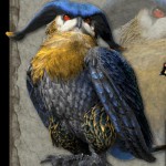 【MHX】モンハンクロスの新要素をチェック